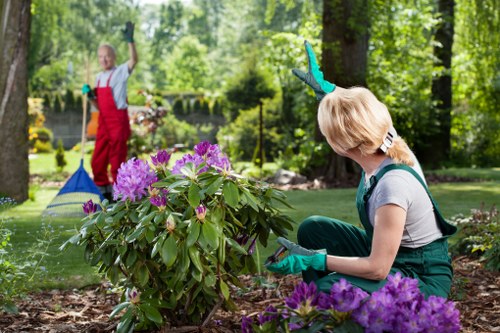 Customer complaint review for a gardening service