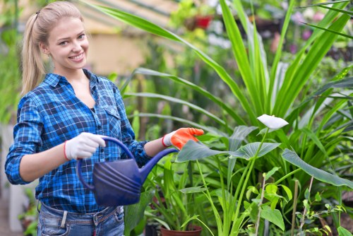 Brimsdown gardeners working on a neat residential garden