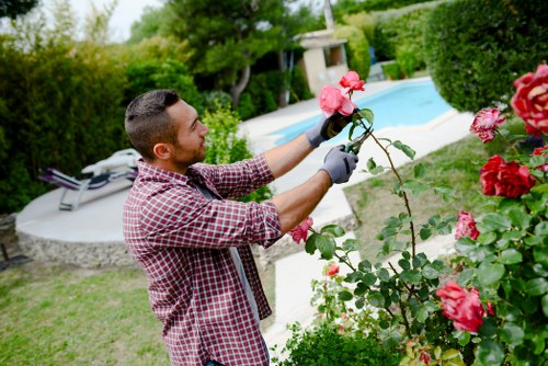 Commitment to preventing modern slavery in garden services