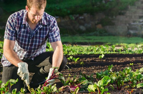 Brimsdown garden landscaping with lawn and planting