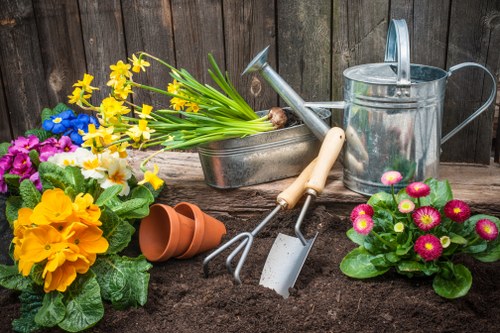 Modern landscaping design for a Brimsdown property
