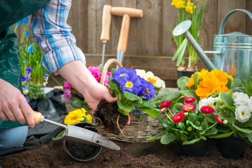 Local Brimsdown gardeners providing hedge trimming and garden maintenance