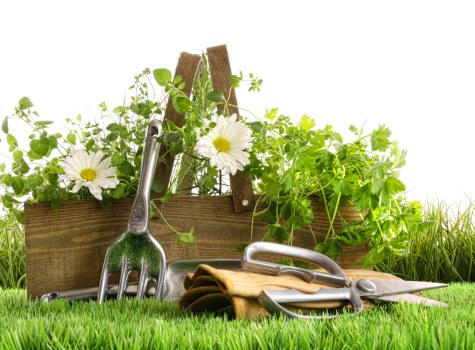 Local lawn mowing service in Brimsdown preparing a well-kept garden