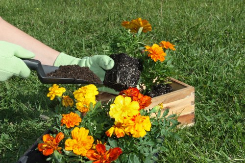 Recording a service issue in a garden maintenance complaint process