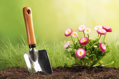 Professional lawn upkeep for Brimsdown homes
