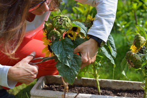 Accessibility request support for Brimsdown garden services