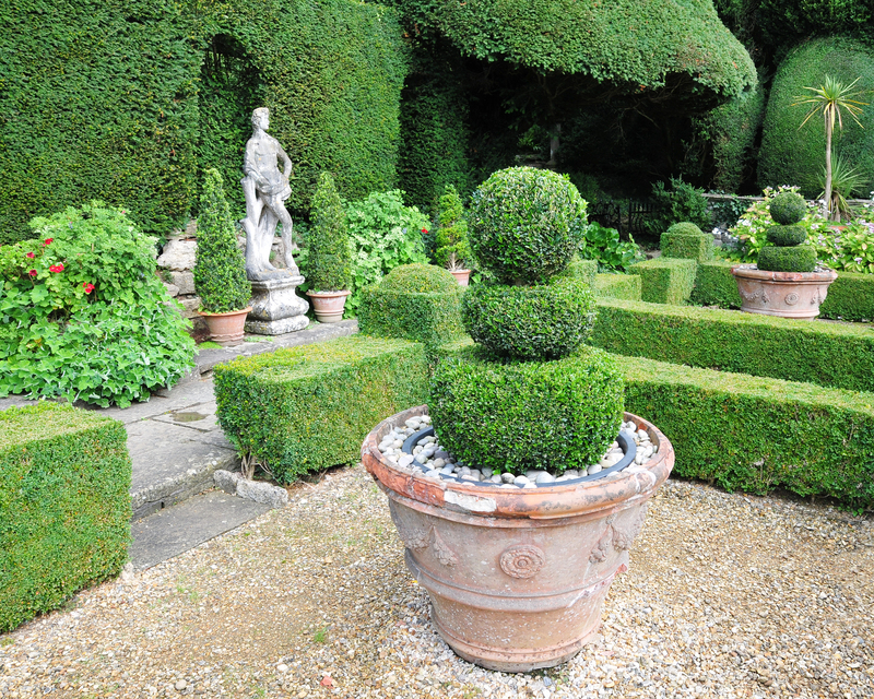Garden yard