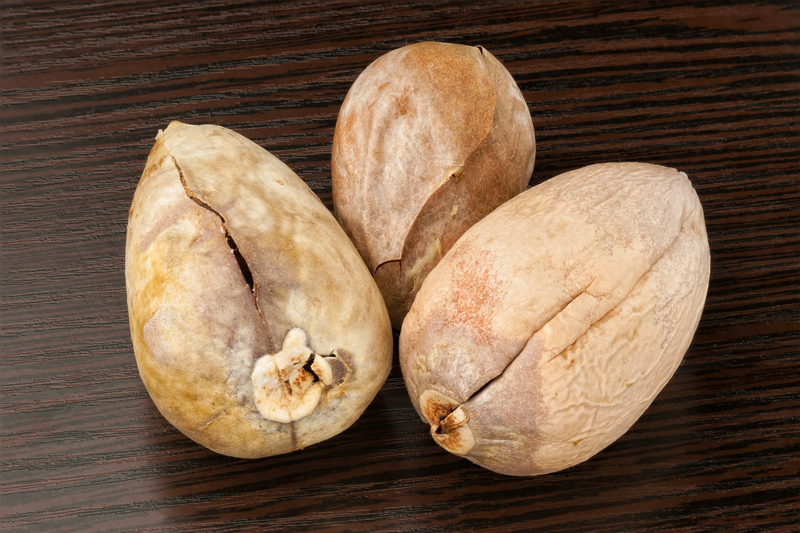 garden landscaping irrigation system